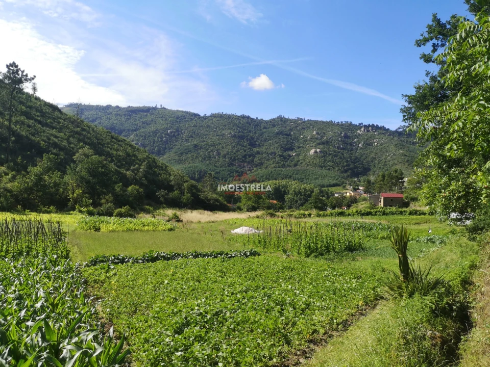 Quinta T0 para Venda em Sandomil Foto 3