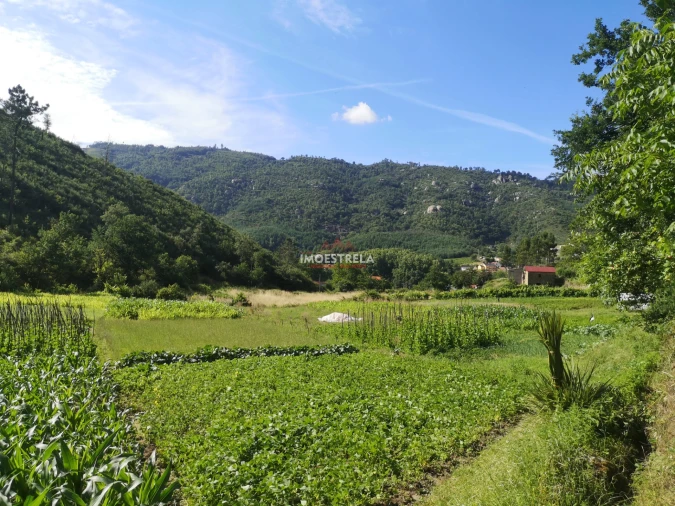 Quinta T0 para Venda em Sandomil Foto 3