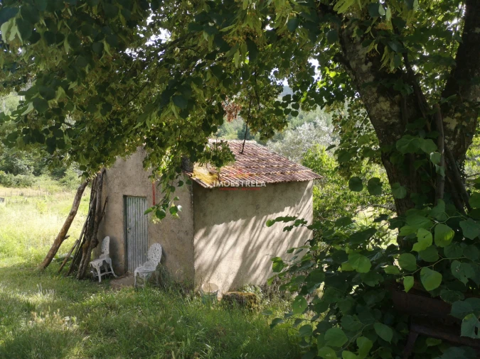 Quinta T0 para Venda em Sandomil Foto 1