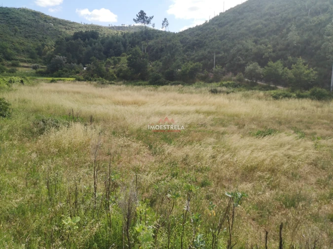 Quinta T0 para Venda em Sandomil Foto 9