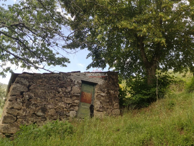 Quinta T0 para Venda em Sandomil Foto 6