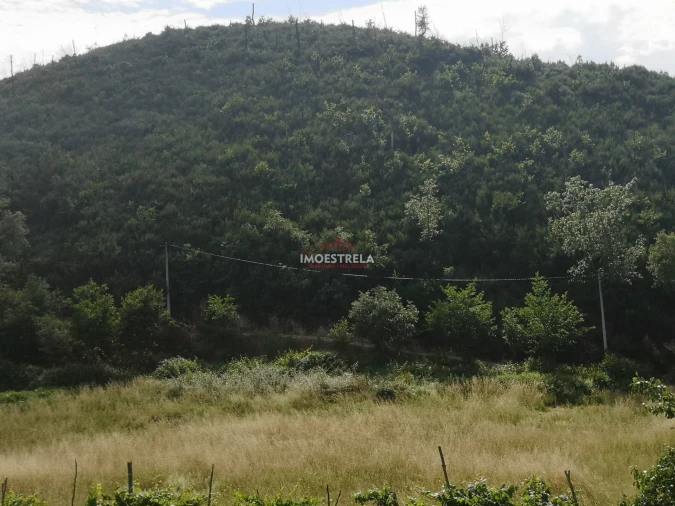 Quinta T0 para Venda em Sandomil Foto 11