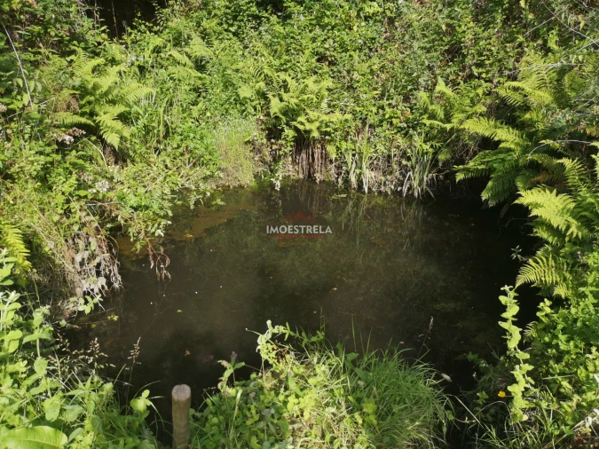 Quinta T0 para Venda em Sandomil Foto 5