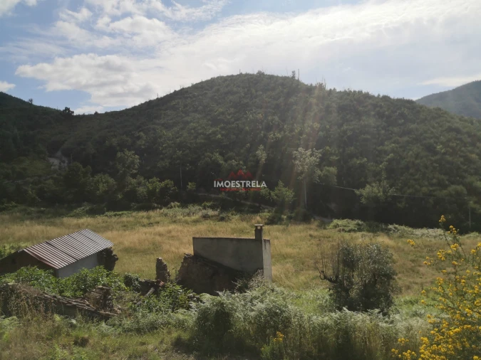 Quinta T0 para Venda em Sandomil Foto 10