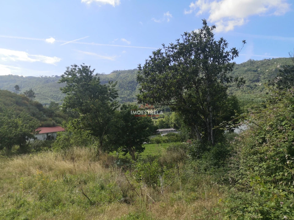 Quinta T0 para Venda em Sandomil Foto 8