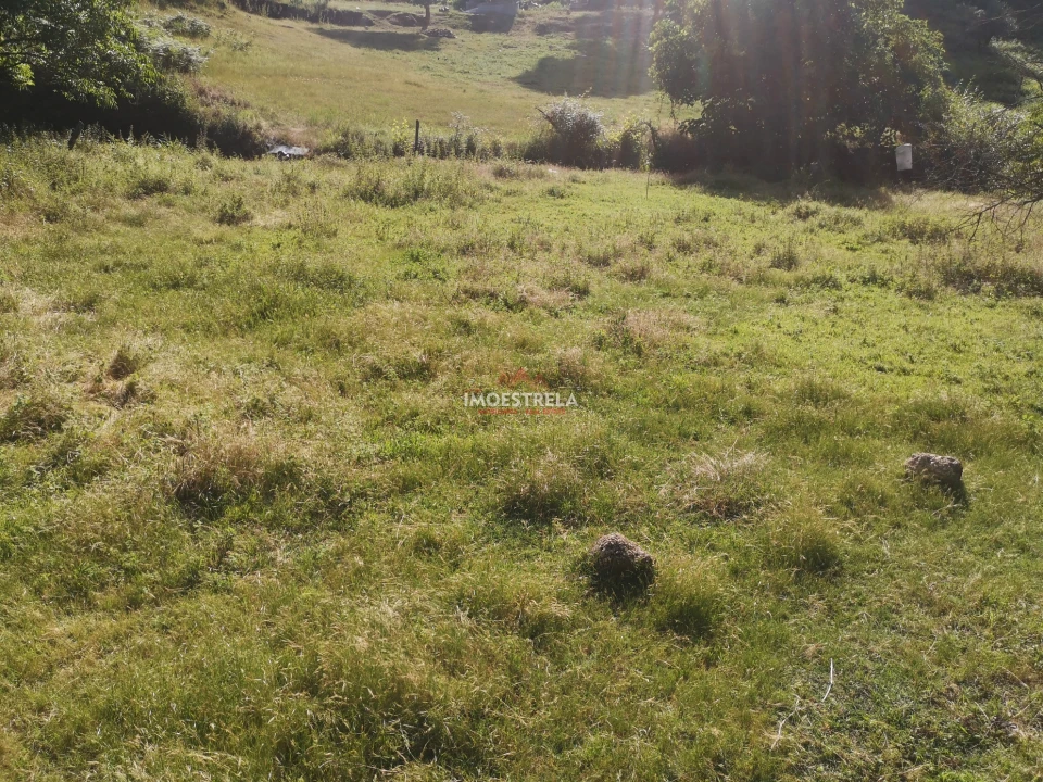 Quinta T0 para Venda em Sandomil Foto 12