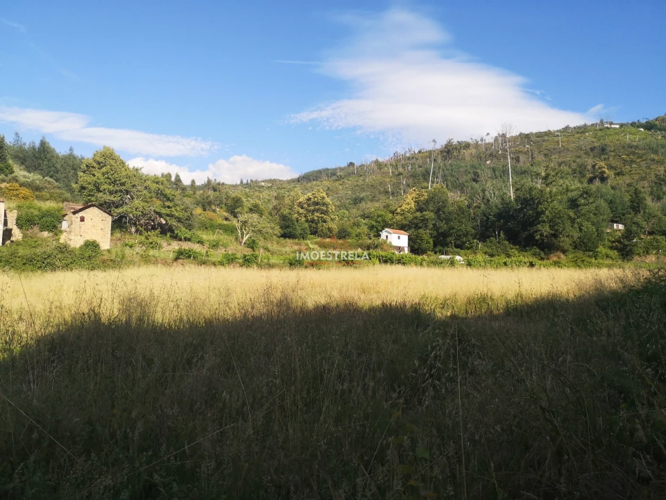 Quinta T0 para Venda em Sandomil Foto 7