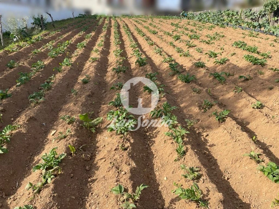 Terreno para Venda em Alvarelhos e Guidões Foto 7