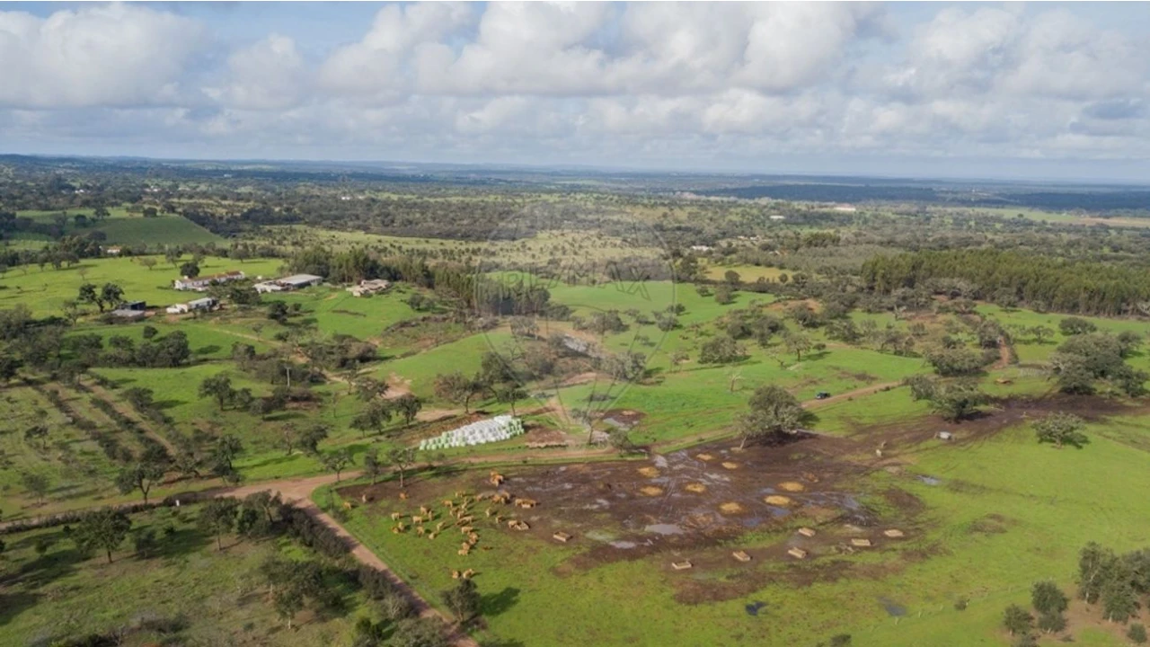 Quinta T3 para Venda em Colos Foto 9