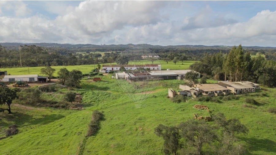 Quinta T3 para Venda em Colos Foto 15