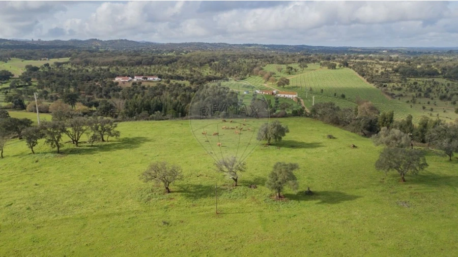 Quinta T3 para Venda em Colos Foto 19