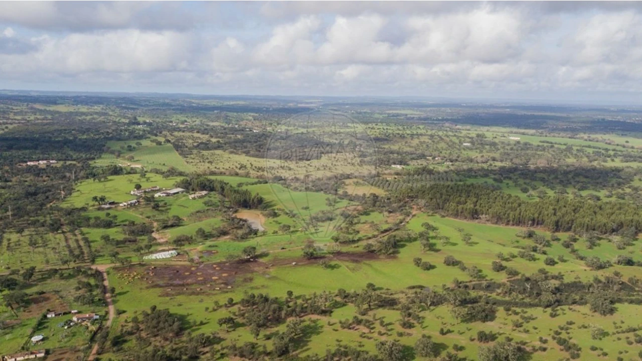 Quinta T3 para Venda em Colos Foto 7