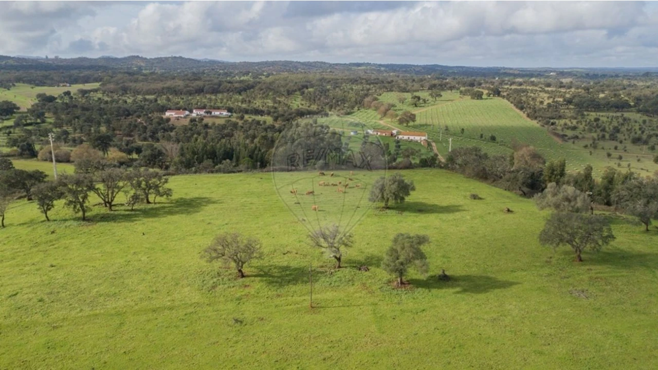 Quinta T3 para Venda em Colos Foto 19