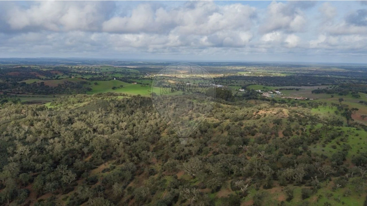 Terreno para Venda em Cercal Foto 11