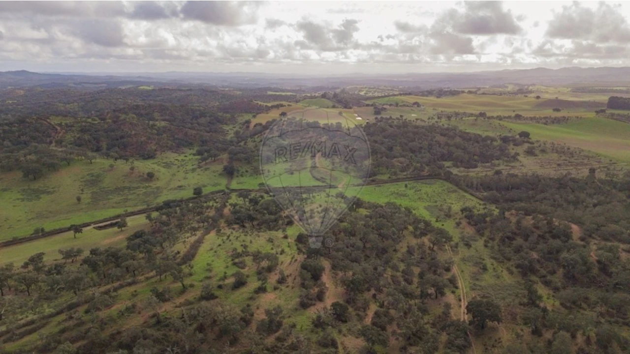 Terreno para Venda em Cercal Foto 13