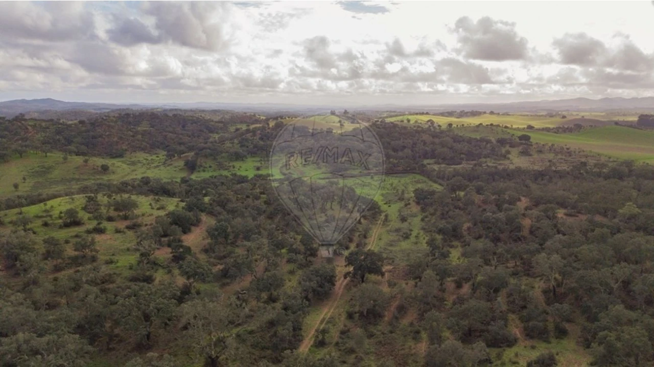 Terreno para Venda em Cercal Foto 16