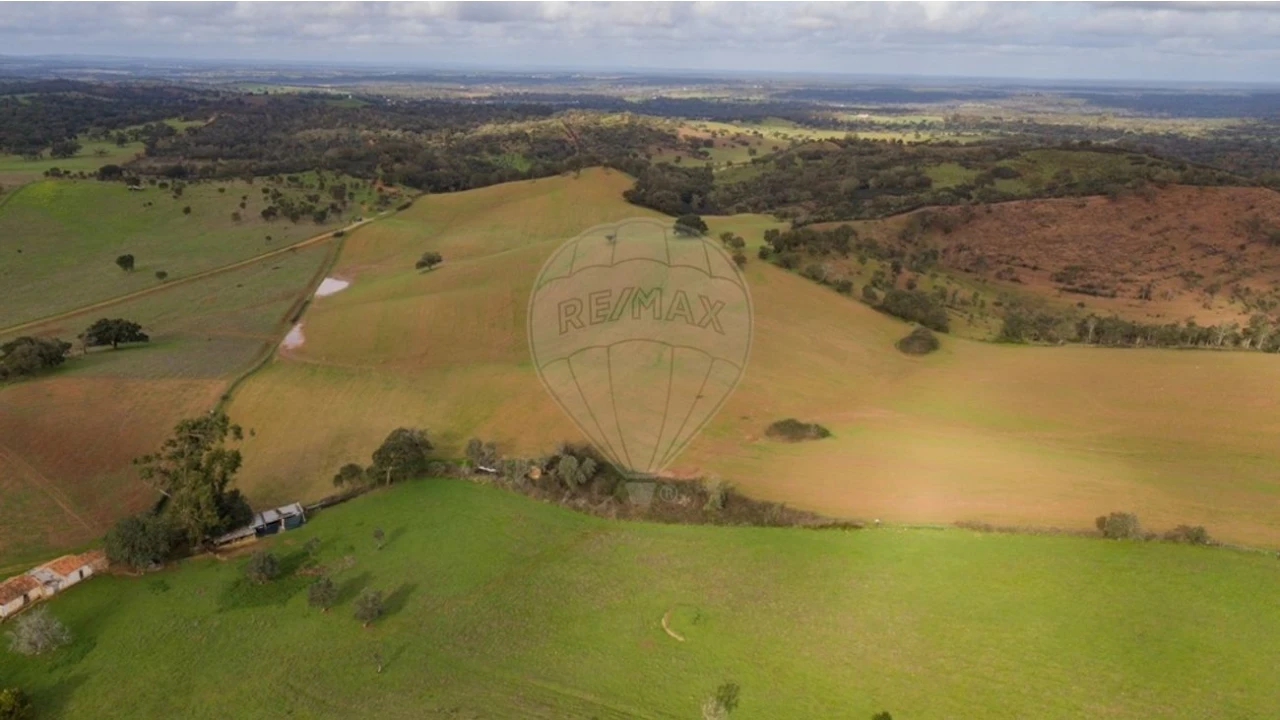 Terreno para Venda em Cercal Foto 5