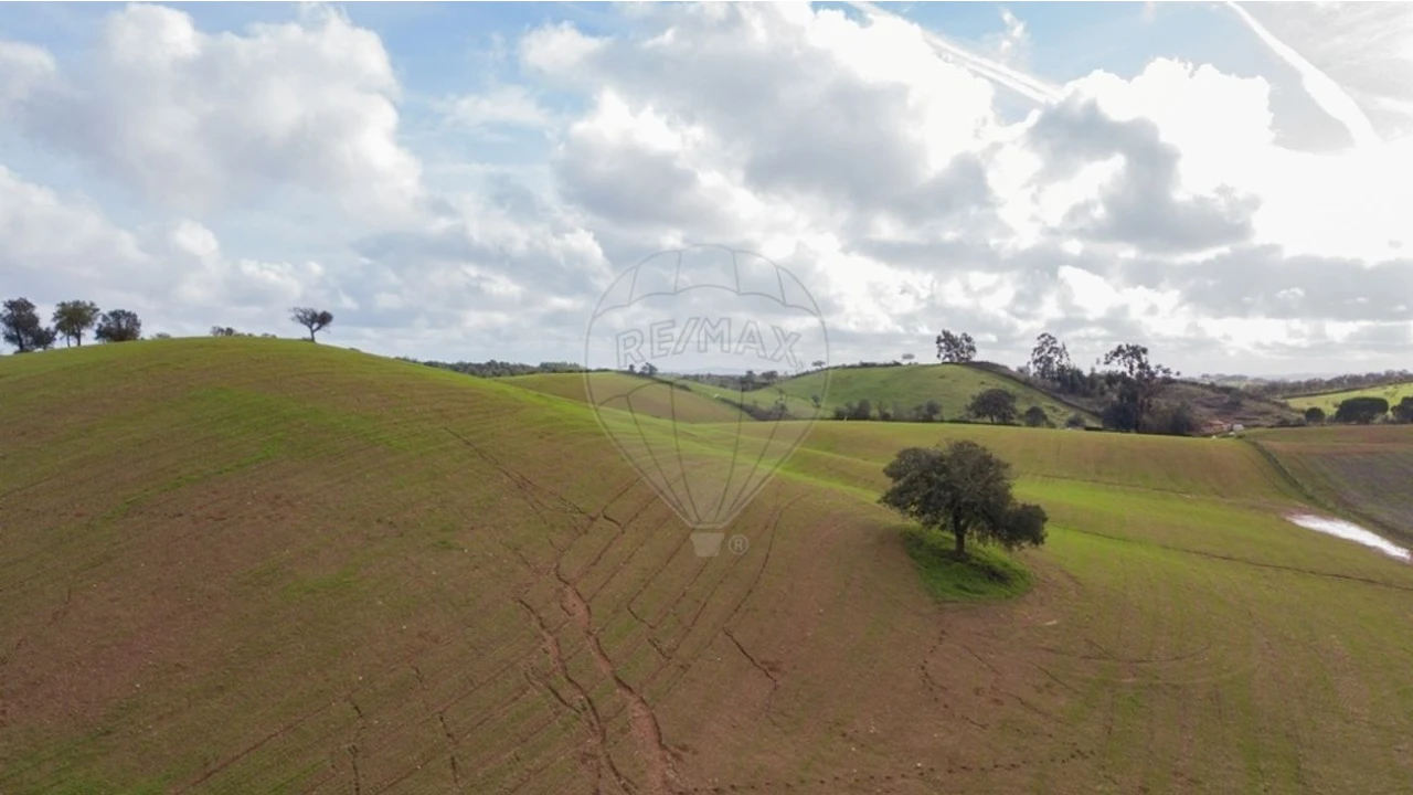 Terreno para Venda em Cercal Foto 4