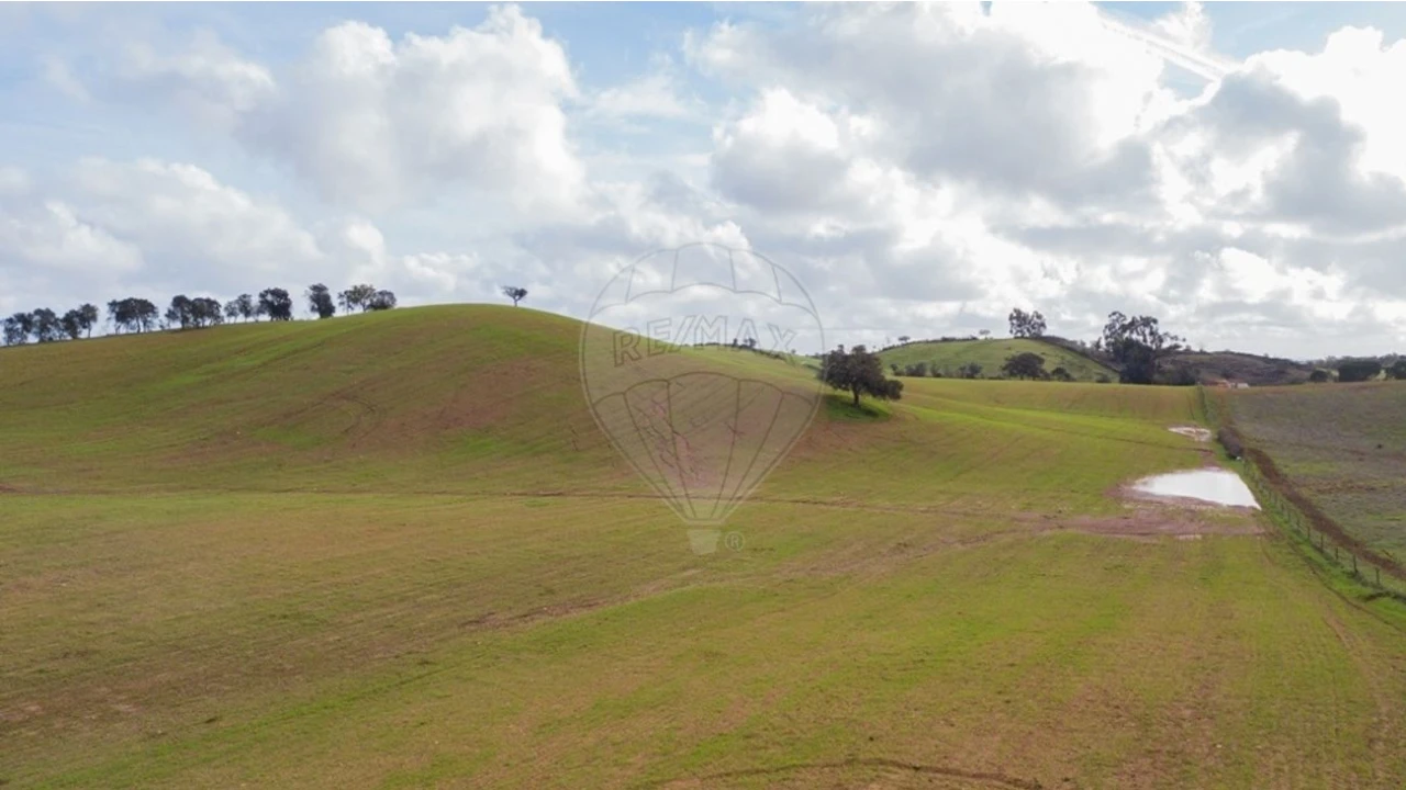 Terreno para Venda em Cercal Foto 2