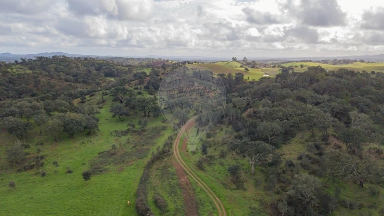 Terreno para Venda em Cercal Foto 18