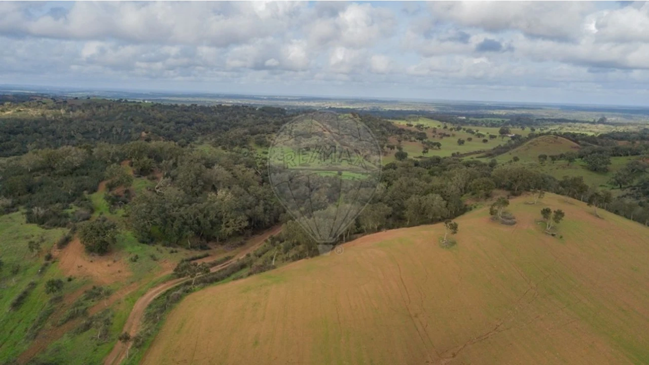 Terreno para Venda em Cercal Foto 7