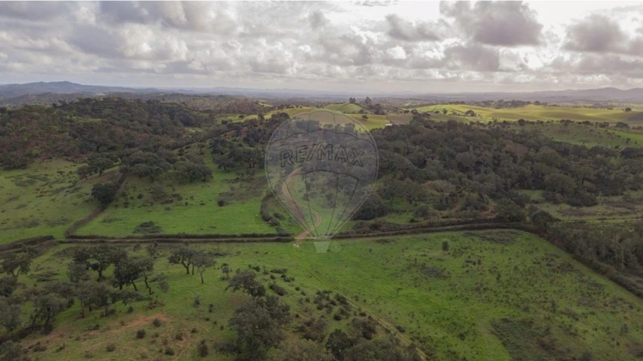 Terreno para Venda em Cercal Foto 17