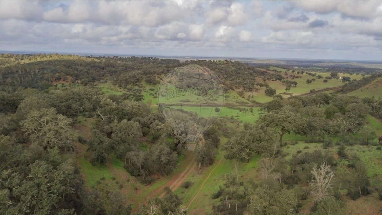 Terreno para Venda em Cercal Foto 9