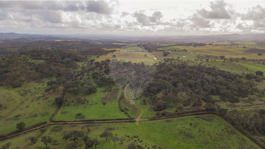 Terreno para Venda em Cercal Foto 12