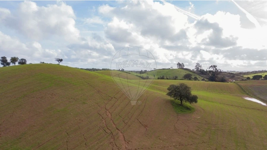 Terreno para Venda em Cercal Foto 4