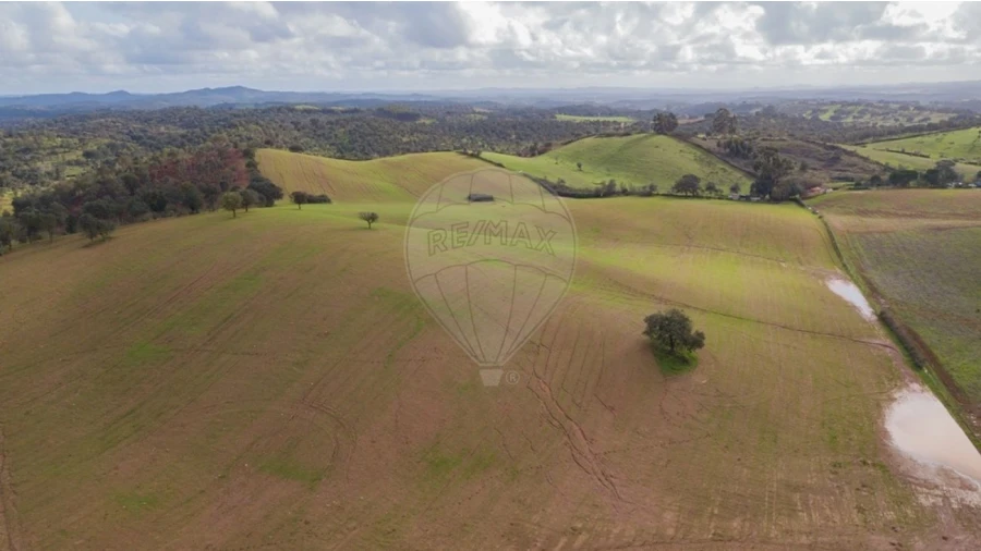 Terreno para Venda em Cercal Foto 8