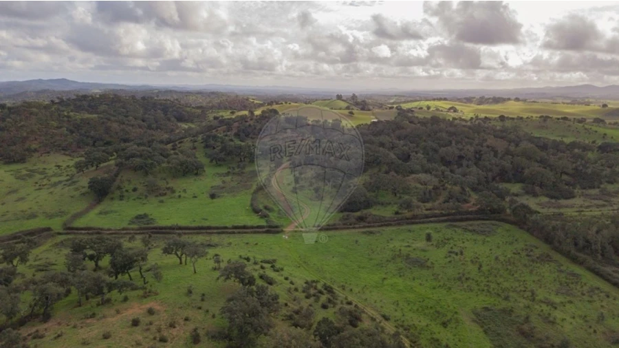 Terreno para Venda em Cercal Foto 17