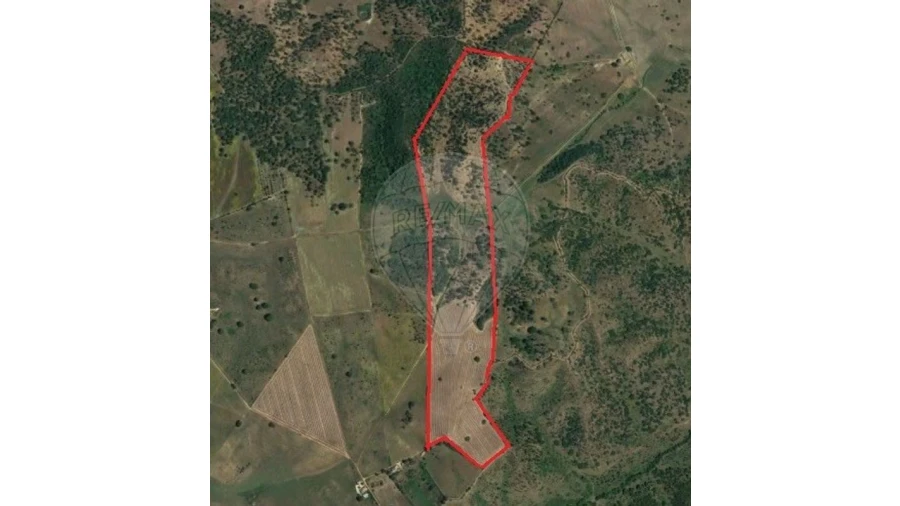 Terreno para Venda em Cercal Foto 3