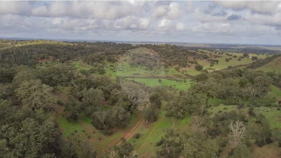 Terreno para Venda em Cercal Foto 9
