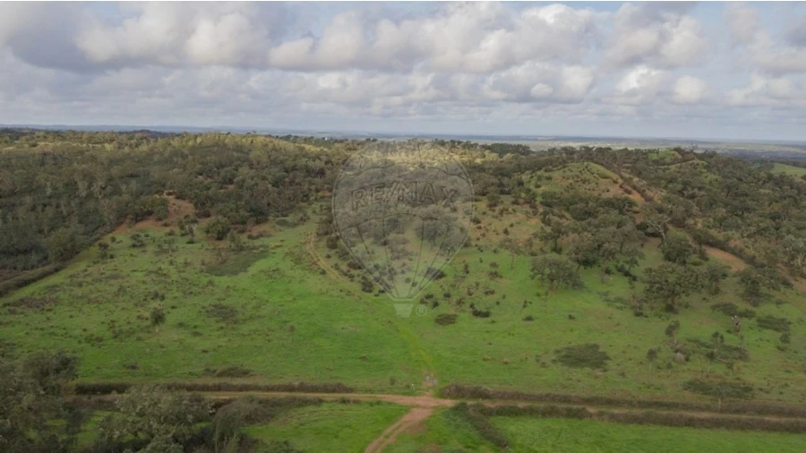 Terreno para Venda em Cercal Foto 10