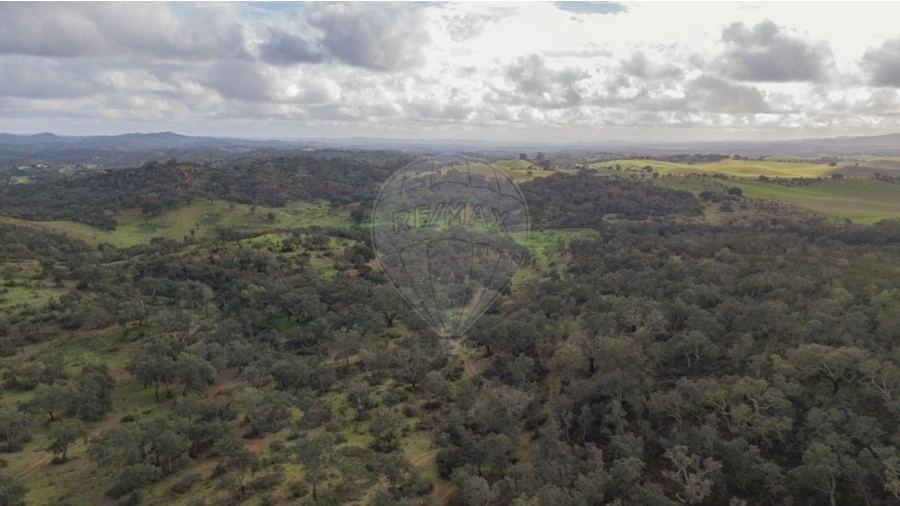 Terreno para Venda em Cercal Foto 15