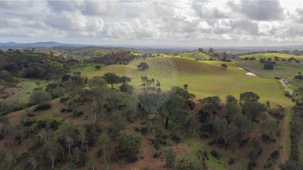 Terreno para Venda em Cercal Foto 19