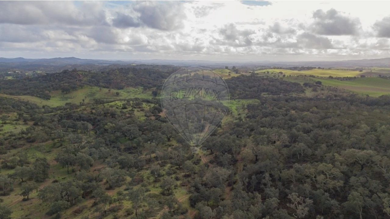 Terreno para Venda em Cercal Foto 15