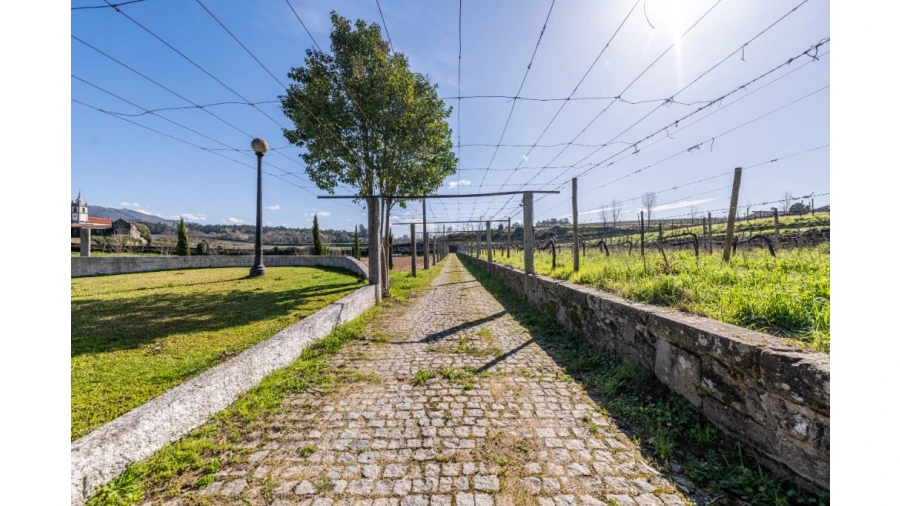 Quinta T5 para Venda em Rendufe Foto 32