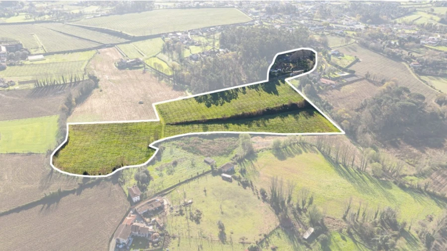 Quinta T5 para Venda em Rendufe Foto 39