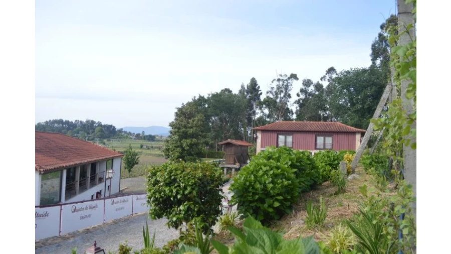 Quinta T5 para Venda em Rendufe Foto 14