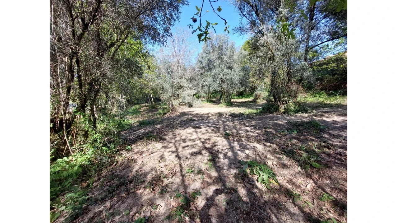 Terreno para Venda em Caldelas, Sequeiros e Paranhos Foto 2