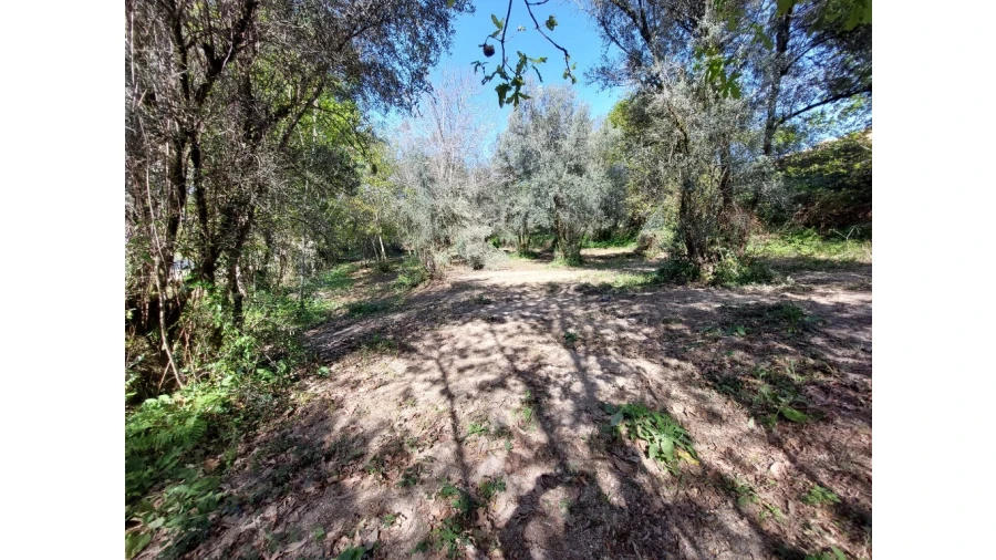 Terreno para Venda em Caldelas, Sequeiros e Paranhos Foto 2