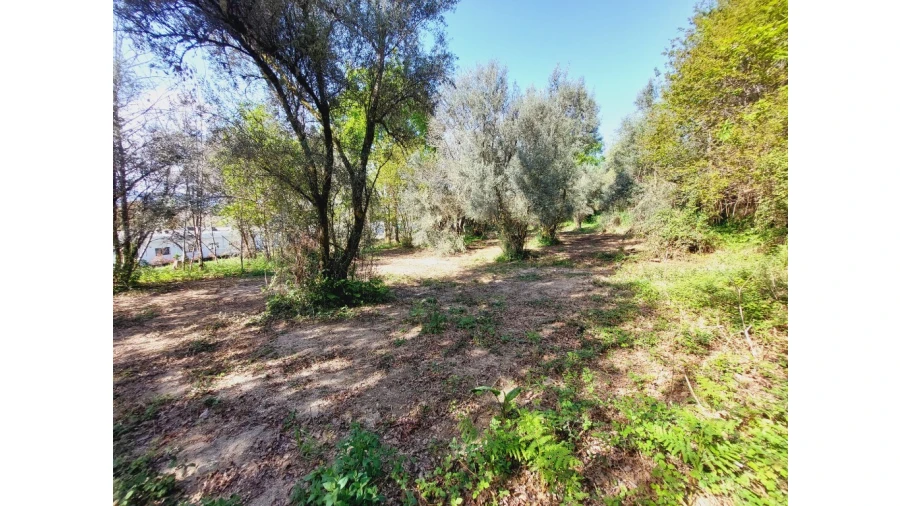 Terreno para Venda em Caldelas, Sequeiros e Paranhos