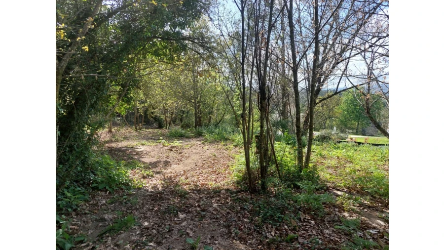 Terreno para Venda em Caldelas, Sequeiros e Paranhos Foto 3