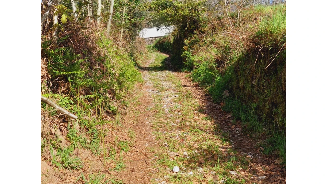 Terreno para Venda em Caldelas, Sequeiros e Paranhos Foto 4