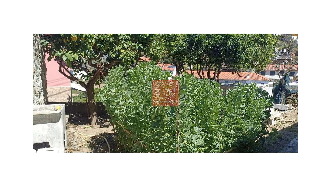 Apartamento T5 para Venda em Folgosa Foto 8