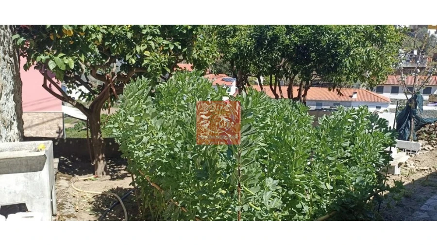 Apartamento T5 para Venda em Folgosa Foto 5