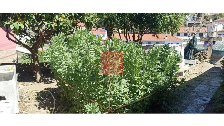 Apartamento T5 para Venda em Folgosa Foto 4