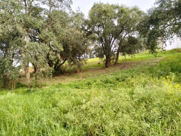 Terreno para Venda em Marvila, Ribeira Santarém, São Salvador, São Nicolau