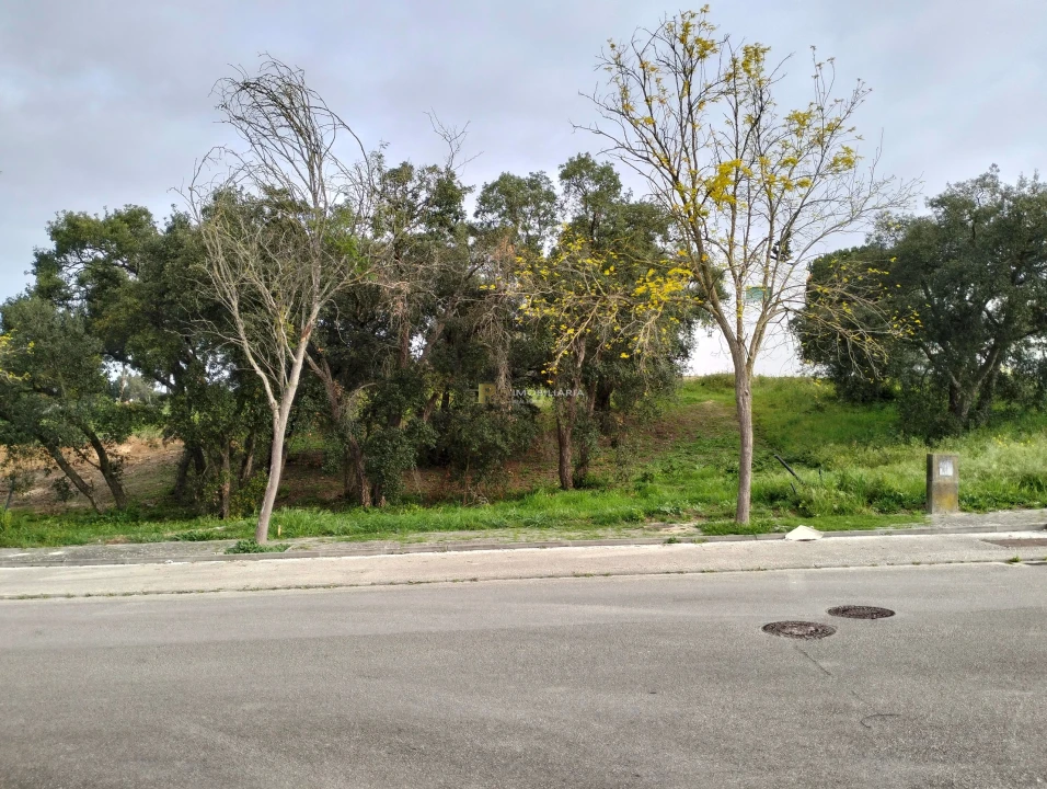 Terreno para Venda em Marvila, Ribeira Santarém, São Salvador, São Nicolau Foto 3